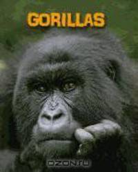 Gorillas (Heinemann Infosearch)