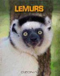 Lemurs (Heinemann Infosearch)
