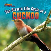 The Bizarre Life Cycle of a Cuckoo (Strange Life Cycles)