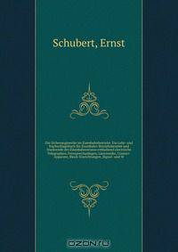 Die Sicherungswerke im Eisenbahnbetricbe. Ein Lehr- und Nachschlagebuch fur Eisenbahn-Betriebsbeamte und Studirende des Eisenbahnwesens enthaltend electrische Telegraphen, Fernsprechanlagen, Lautewerke, Contact-Apparate, Block-Einrichtungen, Signal- und W