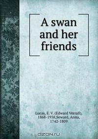 A swan and her friends