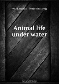 Animal life under water