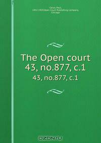 The Open court