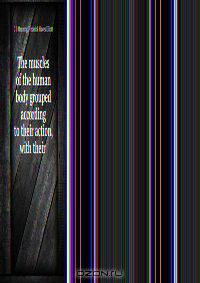 The muscles of the human body grouped according to their action, with their .