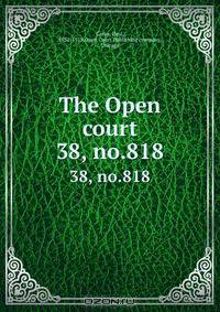 The Open court