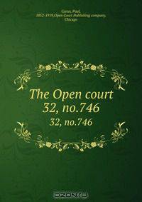The Open court