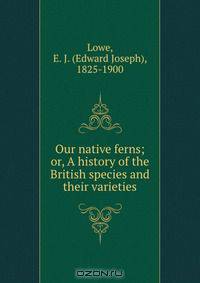 Our native ferns; or, A history of the British species and their varieties