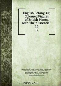 English Botany, Or, Coloured Figures of British Plants, with Their Essential .