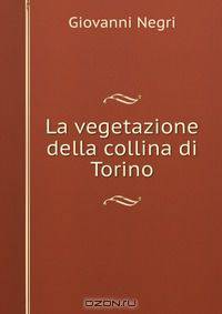 La vegetazione della collina di Torino