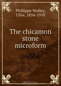 The chicamon stone microform