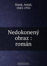 Nedokoneny obraz : roman