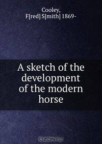 A sketch of the development of the modern horse