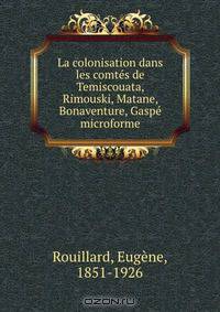 La colonisation dans les comtes de Temiscouata, Rimouski, Matane, Bonaventure, Gaspe microforme