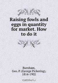 Raising fowls and eggs in quantity for market. How to do it