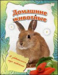 Домашние животные. (В удивительном мире животных)