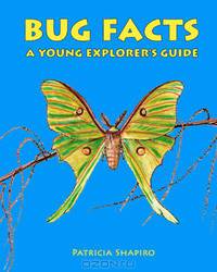 BUG FACTS A Young Explorer