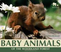 Baby Animals of the Woodland Forest (Nature