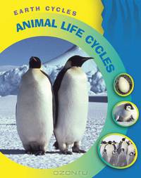 Animal Life Cycles (Earth Cycles)