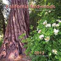 California Redwoods 2013 Calendar
