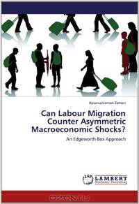 Can Labour Migration Counter Asymmetric Macroeconomic Shocks?: An Edgeworth Box Approach