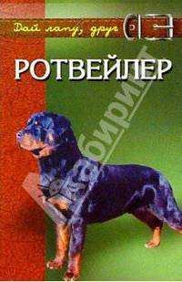 Ротвейлер. Мощь, ум, преданность.