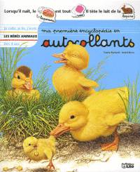 Les bebes animaux
