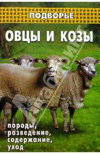 Овцы и козы: породы, разведение, содержание, уход
