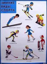 Зимние виды спорта. Плакат