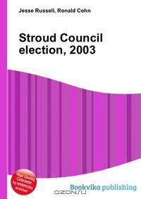 Stroud Council election, 2003