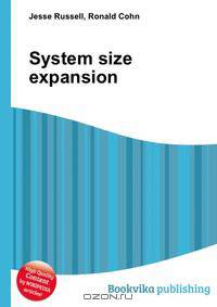 System size expansion