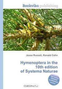 Hymenoptera in the 10th edition of Systema Naturae