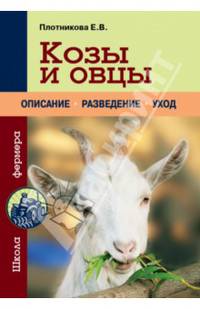 Козы и овцы