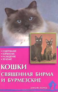 Кошки Сященная Бирма и бурмезские. Содержание. Кормление. Разведение. Лечение