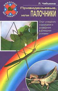 Привиденьевые, или Палочники. Опыт успешного содержания и разведения в домашних условиях