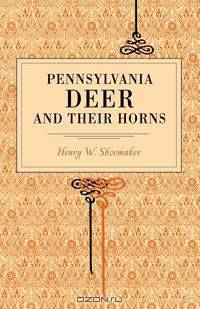 Pennsylvania Deer and Their Horns