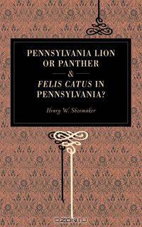 Pennsylvania Lion or Panther & Felis Catus in Pennsylvania?