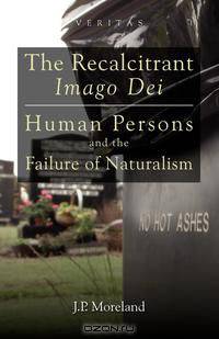 The Recalcitrant Imago Dei