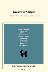 Dreams in Analysis (Chiron Clinical Series)