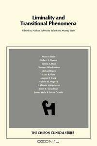 Liminality and Transitional Phenomena (Chiron Clinical Series)