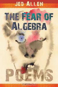 The Fear of Algebra