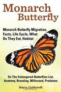 Monarch Butterfly, Monarch Butterfly Migration, Facts, Life Cycle, What Do They Eat, Habitat, Anatomy, Breeding, Milkweed, Predators