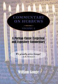 COMMENTARY ON HEBREWS