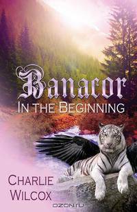 Banacor In The Beginning