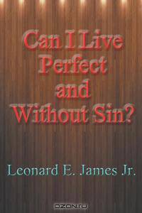 Can I Live Perfect and Without Sin?