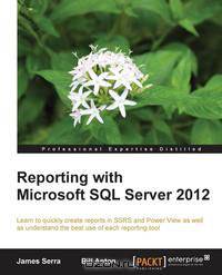 Reporting with Microsoft SQL Server 2012