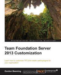 Team Foundation Server 2013 Customization