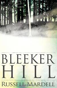 Bleeker Hill