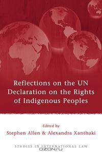 Reflections on the UN Declaration on the Rights of Indigenous Peoples