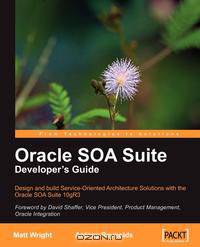Oracle Soa Suite Developer