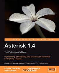 Asterisk 1.4 - the Professional